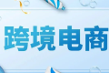 新加坡跨境電商:高滲透率下的海淘熱潮(新加坡跨境電商滲透率 69%)