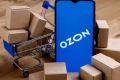 Ozon 秋季政策調(diào)整,撬動低價跨境電商市場與物流效率雙引擎(傭金重構(gòu)與生態(tài)升級)