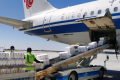 國際空運的“代理報關”和“自理報關”哪個更高效(國際空運干貨知識分享)