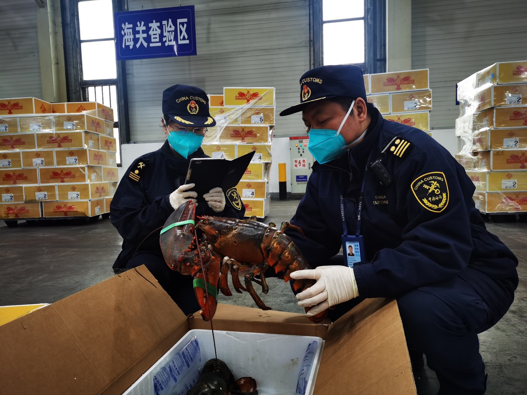 權威的海關政策解讀平臺，你知道幾個?